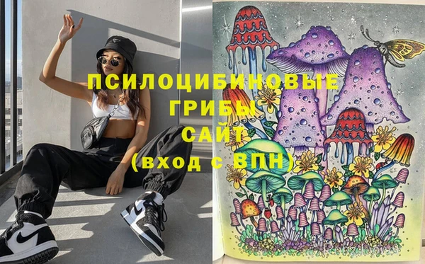 амф Арсеньев