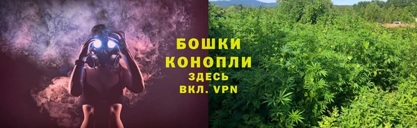амф Арсеньев