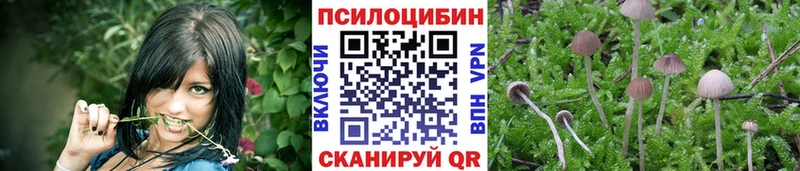 наркошоп  кракен ТОР  Псилоцибиновые грибы Cubensis  Армянск 